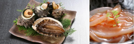 民宿福川荘 新鮮な玄界灘海の幸